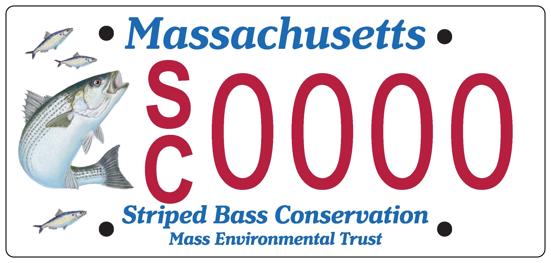 Massachusetts Striped Bass Conservation License Plate Mass.gov